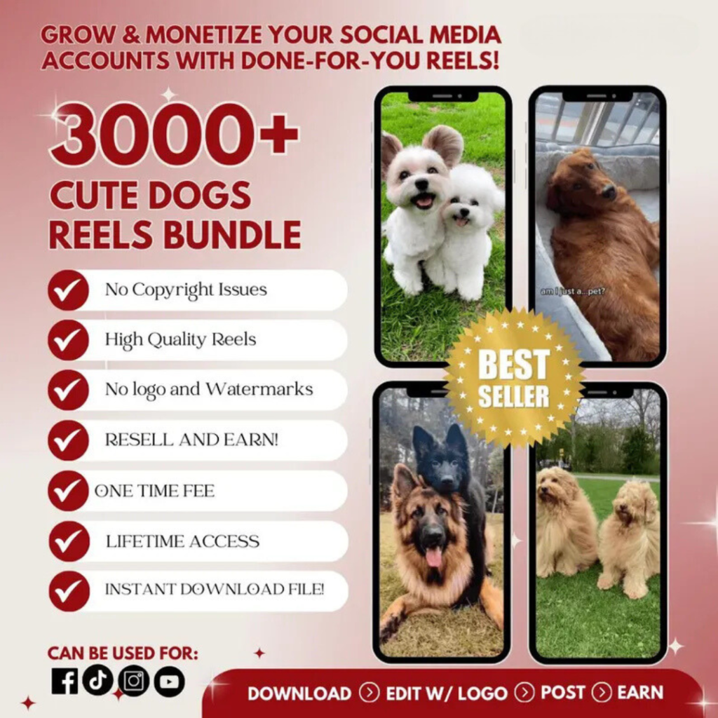 3000+ Cute Dogs Reels