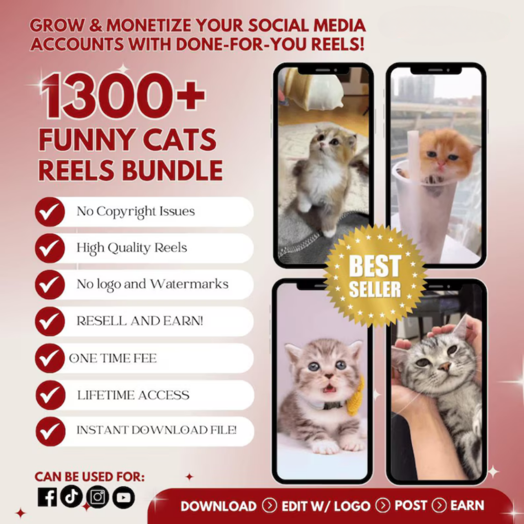 1300+ Funny Cats Reels